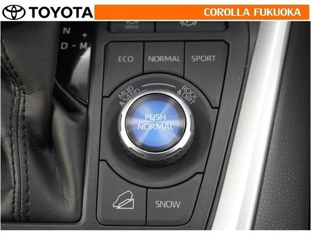 �J���Ȃǂ̊���₷���H�ʁA�͂̂���I�t���[�h���s�ɂ��K�����܂��B