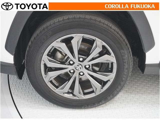 ���q�l�̃J�[���C�t���T�|�[�g�I���S�A���S�����b�g�[�ɁA���̂��Ԃ̔[�Ԏ��ɂ̓^�C�����S�{�V�i�����������܂��B