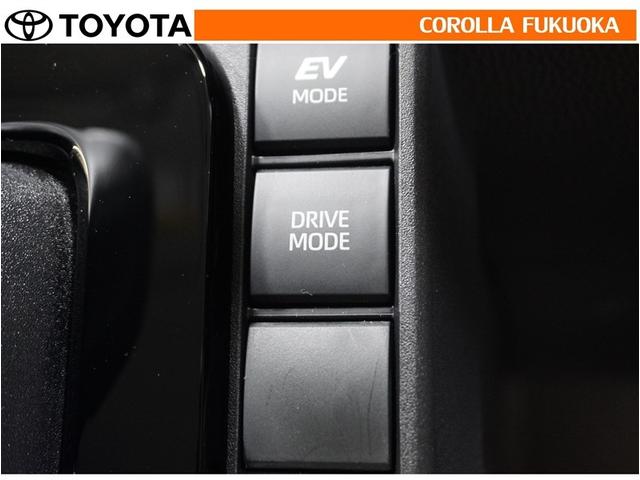 シエンタ ハイブリッドZ 衝突被害軽減システム 両側電動スライド メモリーナビ フルセグ ETC バックカメラ ドラレコ キーレス スマートキー 盗難防止装置(24枚目)