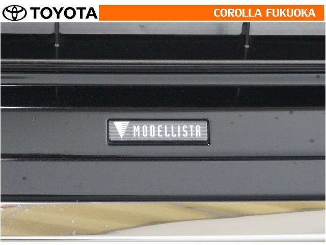 ヴォクシー S-Z 衝突被害軽減システム 両側電動スライド メモリーナビ フルセグ ETC バックカメラ ドラレコ CD DVD再生 キーレス スマートキー 盗難防止装置(31枚目)