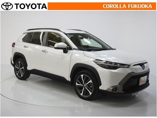 ������������S�I�����̓J���[�������T�[�r�X�F�؍H��ɂ��C�����������B