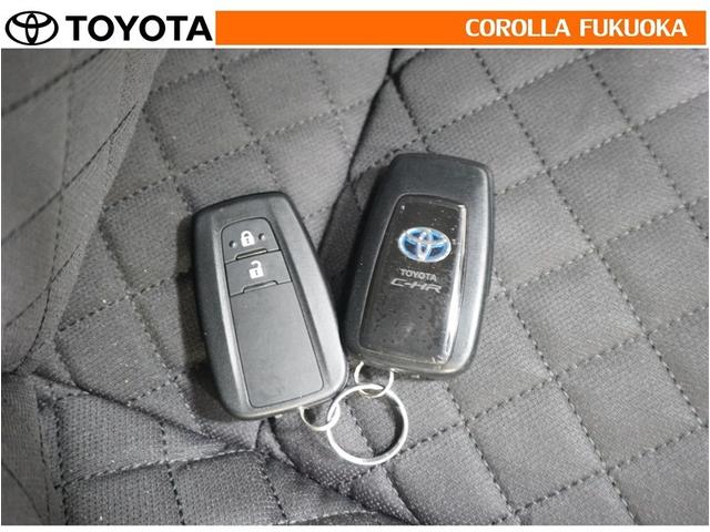 �g���^�J���[�������i���j�̍݌ɂ��������������L��������܂��B����Ƃ��������̒��A�X�������肢�\���グ�܂��B