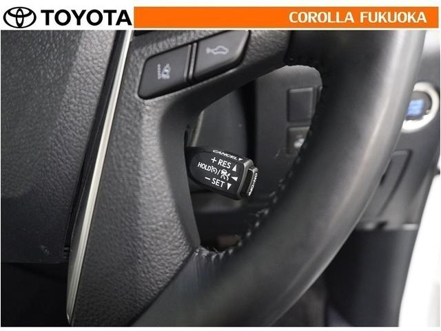 アルファード ２．５Ｓ　Ｃパッケージ　衝突被害軽減システム　サンルーフ　両側電動スライド　メモリーナビ　フルセグ　ＥＴＣ　バックカメラ　ドラレコ　後席モニター　ＣＤ　ＤＶＤ再生　キーレス　スマートキー　盗難防止装置（24枚目）