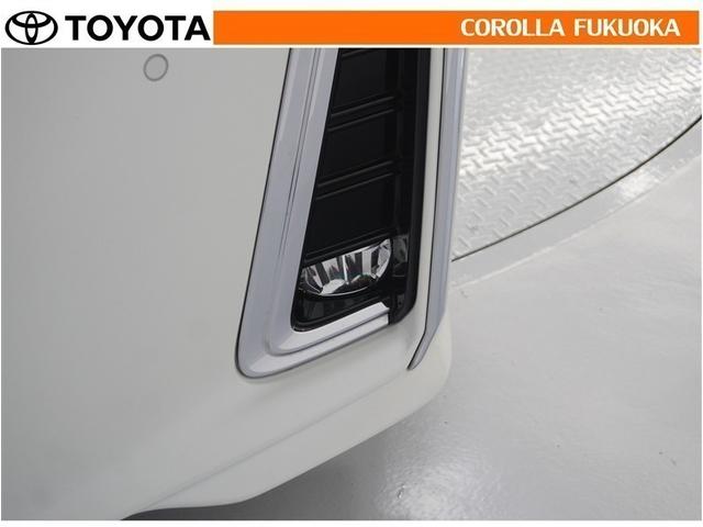 アルファード ２．５Ｓ　Ｃパッケージ　衝突被害軽減システム　サンルーフ　両側電動スライド　メモリーナビ　フルセグ　ＥＴＣ　バックカメラ　ドラレコ　後席モニター　ＣＤ　ＤＶＤ再生　キーレス　スマートキー　盗難防止装置（36枚目）