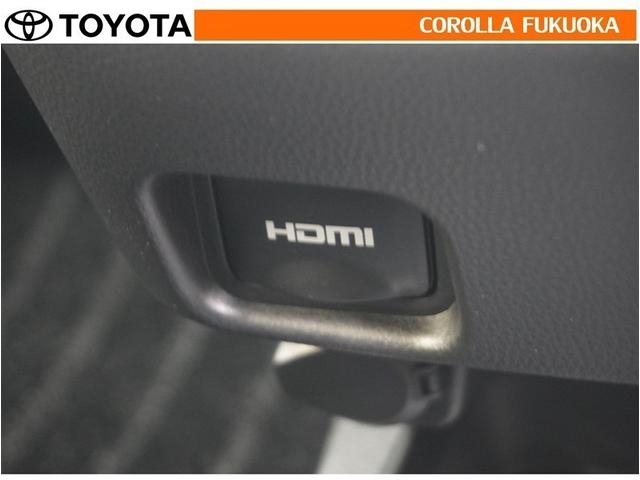 ヴォクシー ハイブリッドＳ－Ｚ　衝突被害軽減システム　両側電動スライド　メモリーナビ　フルセグ　ＥＴＣ　バックカメラ　ＣＤ　ＤＶＤ再生　キーレス　スマートキー　盗難防止装置（28枚目）