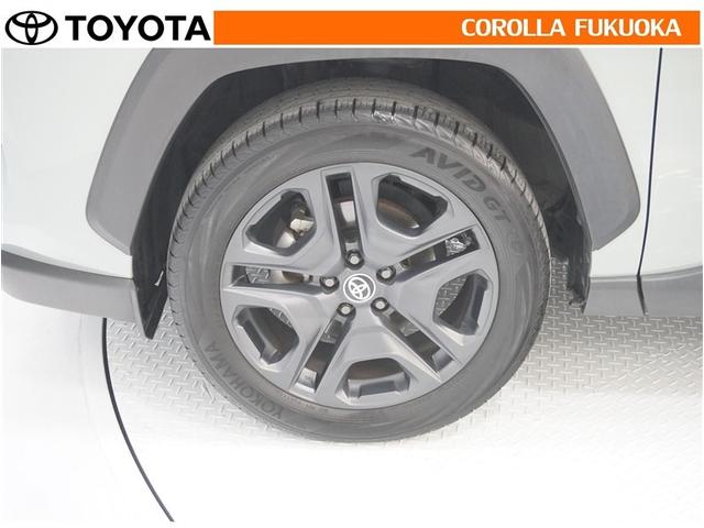 ���q�l�̃J�[���C�t���T�|�[�g�I���S�A���S�����b�g�[�ɁA���̂��Ԃ̔[�Ԏ��ɂ̓^�C�����S�{�V�i�����������܂��B