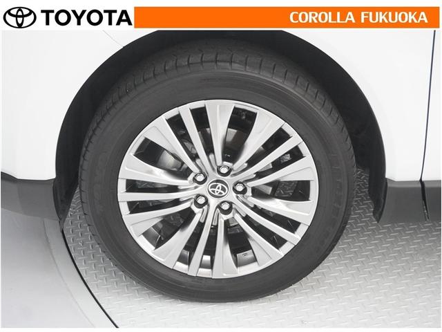 �y���ȑ��������o����A���~�z�C�[���A�P�Ȃ�h���X�A�b�v�ł͂Ȃ������ƌy�ʉ��Ń��������N��̋C�����������܂��B