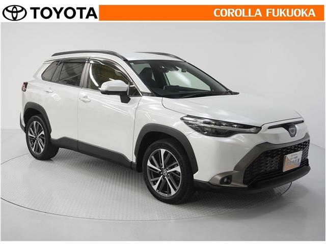 ������������S�I�����̓J���[�������T�[�r�X�F�؍H��ɂ��C�����������B