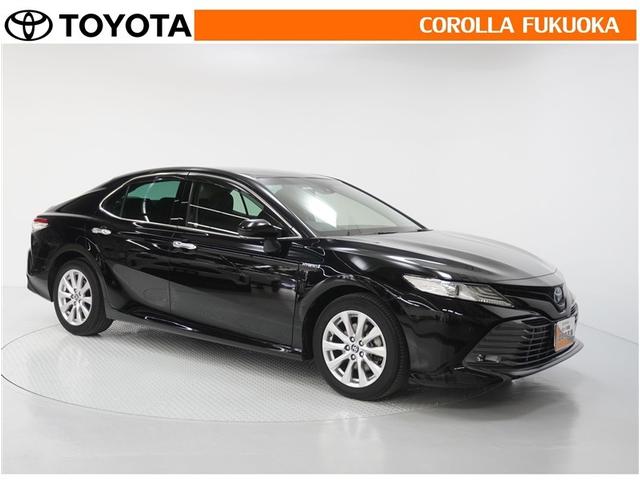 ������������S�I�����̓J���[�������T�[�r�X�F�؍H��ɂ��C�����������B