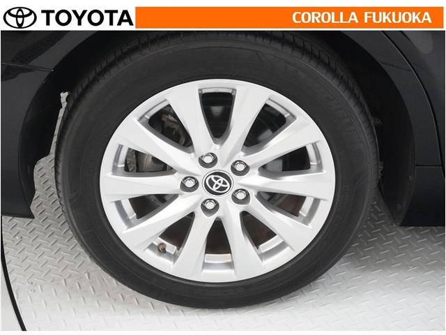 ���q�l�̃J�[���C�t���T�|�[�g�I���S�A���S�����b�g�[�ɁA���̂��Ԃ̔[�Ԏ��ɂ̓^�C�����S�{�V�i�����������܂��B