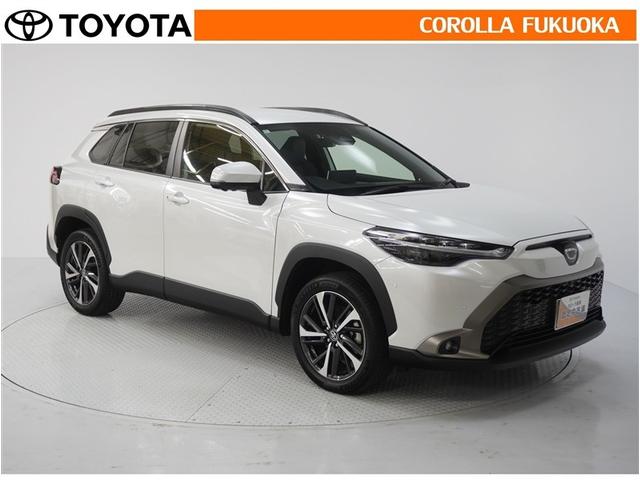 ������������S�I�����̓J���[�������T�[�r�X�F�؍H��ɂ��C�����������B