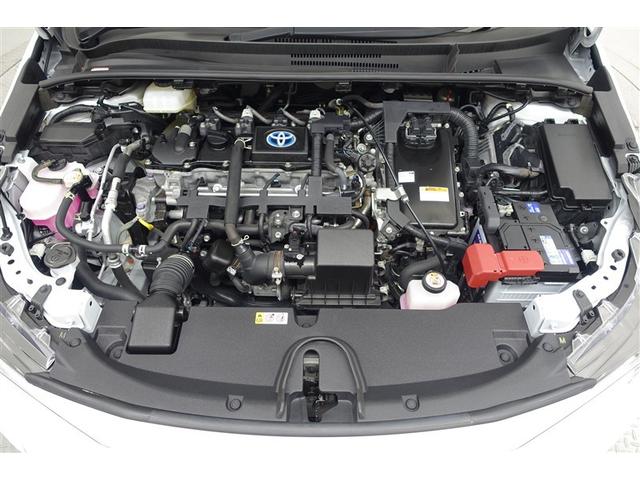 ���G���W�����[�����N���|�j���O�ς݁I�z�R����D�A�I�C������𗎂Ƃ��Ă��璚�J�ɐ�򂵂܂����I�����̂Ƃ���s�J�s�J�ł��I