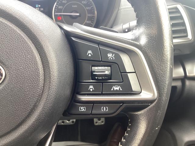 �X�e�A�����O�ɂ́A�֗��ȃX�e�A�����O�X�C�b�`��A��葬�x�ɑ��s�𐧌�ł���N���[�Y�R���g���[���X�C�b�`�𑕔��I