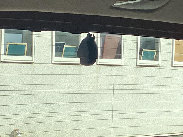 フリード＋ Ｇ・ホンダセンシング　純正ナビＴＶ・ドライブレコーダー・Ｃパッケージ・Ｂｌｕｅｔｏｏｔｈ・バックカメラ・ワンオーナー車　プリクラッシュ　Ｂモニター　両側オートスライドドア　禁煙　パワーウインド　スマートキー　両席エアバック（12枚目）