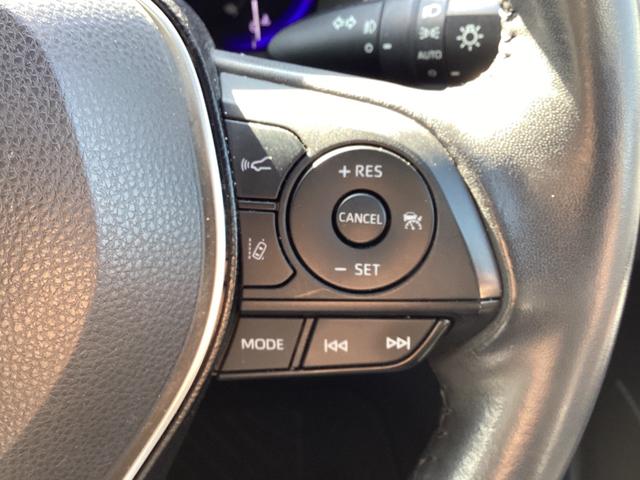 高速走行もクルーズコントロールで楽々です。