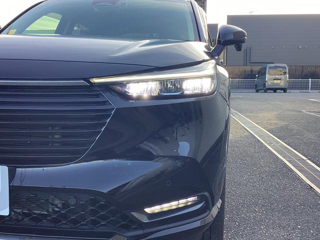 �L���A�����܂ŏƂ炵�A��ԁA�J�V���̈��S�������コ���Ă����k�d�c�w�b�h���C�g�B