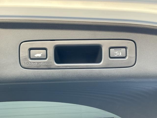 �n���Y�t���[�A�N�Z�X�p���[�e�[���Q�[�g�I�I�X�}�[�g�L�[�E���ł̓���E�X�C�b�`�{�^���Ŏ����ŊJ���ߊy�X���쁙