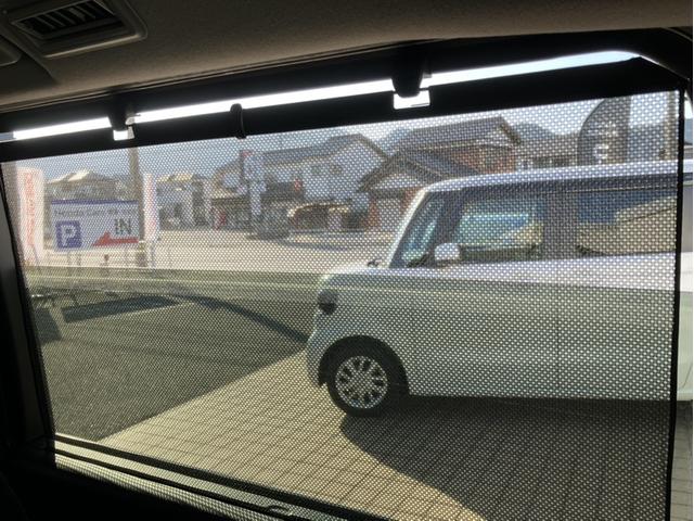 ���A���K���X�ɂ͉Ă̋����������⎇�O�����K�[�h���Ă������������[���T���V�F�[�h�t���I�ډB���Ƃ��Ȃ菗���₨�q�l�ɂ����S��