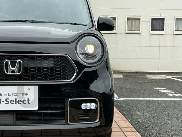 �L���A�����܂ŏƂ炵�A��ԁA�J�V���̈��S�������コ���Ă����k�d�c�w�b�h���C�g�B