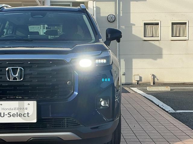 �L���A�����܂ŏƂ炵�A��ԁA�J�V���̈��S�������コ���Ă����k�d�c�w�b�h���C�g�B