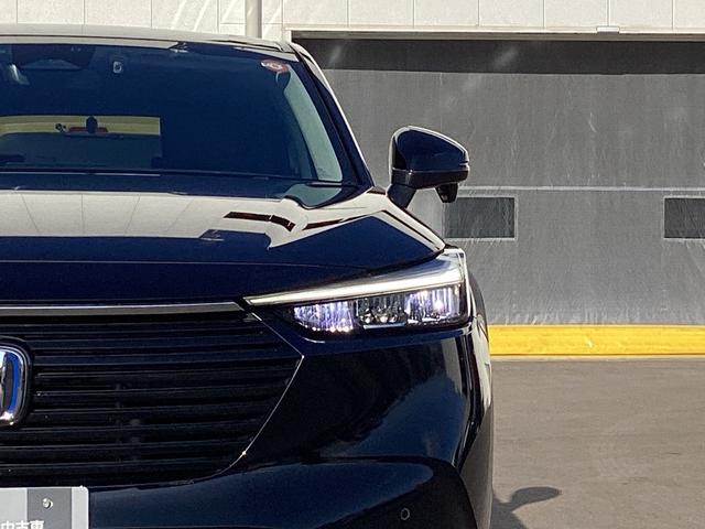 �L���A�����܂ŏƂ炵�A��ԁA�J�V���̈��S�������コ���Ă����k�d�c�w�b�h���C�g�B