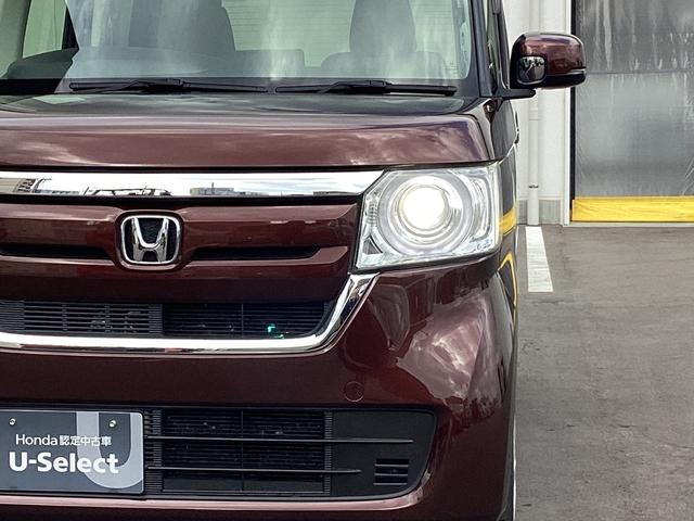 �L���A�����܂ŏƂ炵�A��ԁA�J�V���̈��S�������コ���Ă����k�d�c�w�b�h���C�g�B