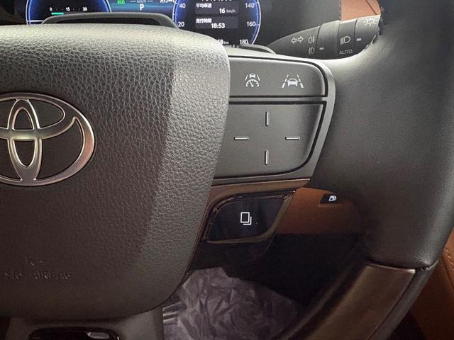 Toyota VELLFIRE HYBRID Z PREMIER 2025 — миниатюра 19