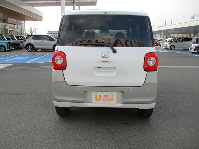 ���A���C�p�[�t���ŉJ�̓��̃o�b�N�����S�ł��B