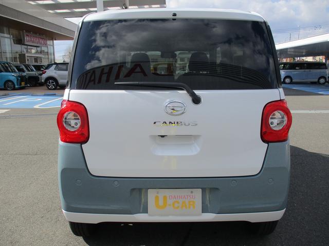 ���A���C�p�[�t���ŉJ�̓��̃o�b�N�����S�ł��B