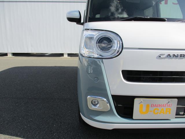 �k�d�c�w�b�h���C�g�Ŗ��邢�ł��B