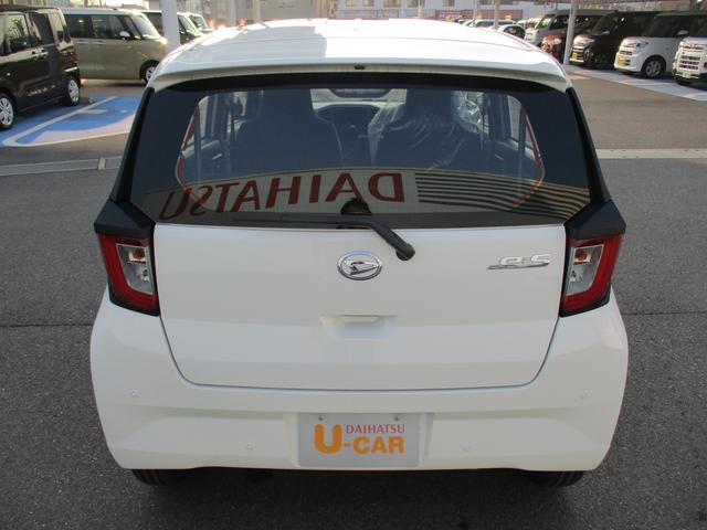 ���A���C�p�[�t���ŉJ�̓��̃o�b�N�����S�ł��B