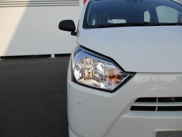 �w�b�h���C�g�̓n���Q���ł��B