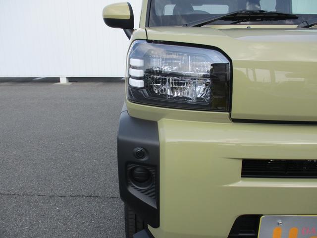 �k�d�c�w�b�h���C�g�Ŗ��邢�ł��B