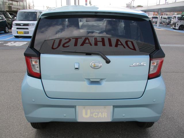 ���A���C�p�[�t���ŉJ�̓��̃o�b�N�����S�ł��B