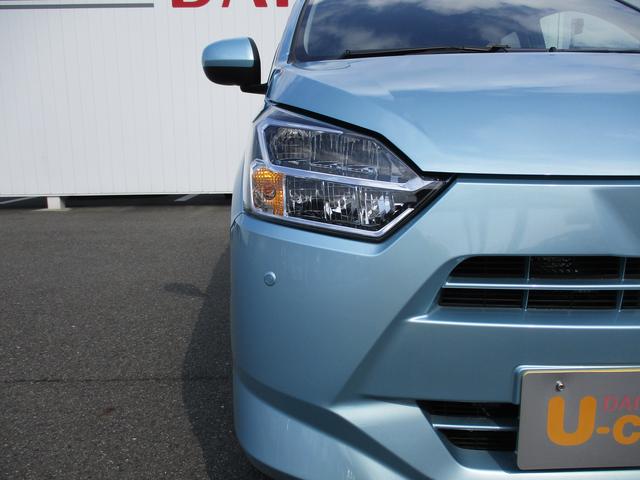 �k�d�c�w�b�h���C�g�Ŗ��邢�ł��B