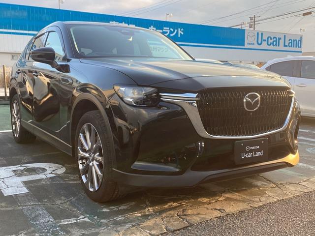 �l�C�̃O���[�h�ƐF�ł�