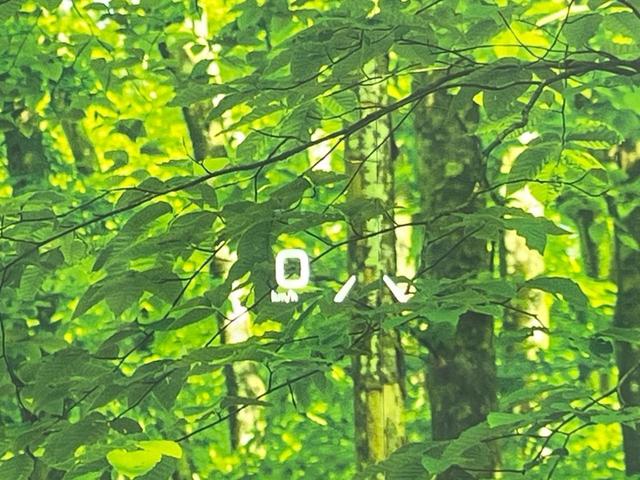 プリウス Ａツーリングセレクション　モデリスタエアロ　純正ナビ　バックカメラ　衝突被害軽減システム　禁煙車　レーダークルーズコントロール　ＥＴＣ　Ｂｌｕｅｔｏｏｔｈ　フルセグ　合皮シート　ＬＥＤヘッド　シートヒーター　スマートキー（35枚目）