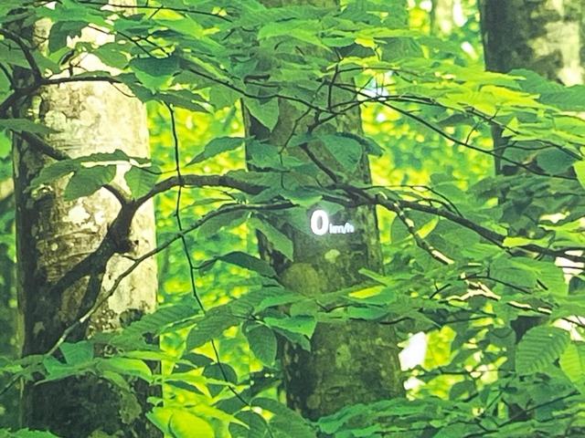 ＣＸ－５ ２０Ｓ　プロアクティブ　純正ＤＶＤナビ　衝突被害軽減システム　レーダークルーズ　バックカメラ　コーナーセンサー　スマートキー　ＬＥＤヘッド　オートライト　デュアルエアコン　純正１７インチアルミ　Ｂｌｕｅｔｏｏｔｈ（35枚目）