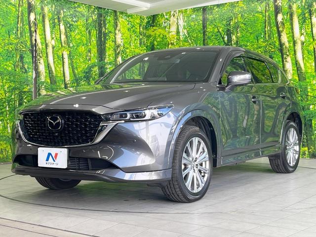 ＣＸ－５ ＸＤ　エクスクルーシブモード　全周囲カメラ　ＢＯＳＥサウンド　衝突被害軽減システム　レーダークルーズ　禁煙車　レザーシート　前席シートエアコン　コーナーセンサー　スマートキー　ＬＥＤヘッド　ＥＴＣ　オートハイビーム　車線逸脱警報（21枚目）