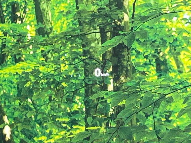 ＣＸ－５ ＸＤ　エクスクルーシブモード　全周囲カメラ　ＢＯＳＥサウンド　衝突被害軽減システム　レーダークルーズ　禁煙車　レザーシート　前席シートエアコン　コーナーセンサー　スマートキー　ＬＥＤヘッド　ＥＴＣ　オートハイビーム　車線逸脱警報（36枚目）