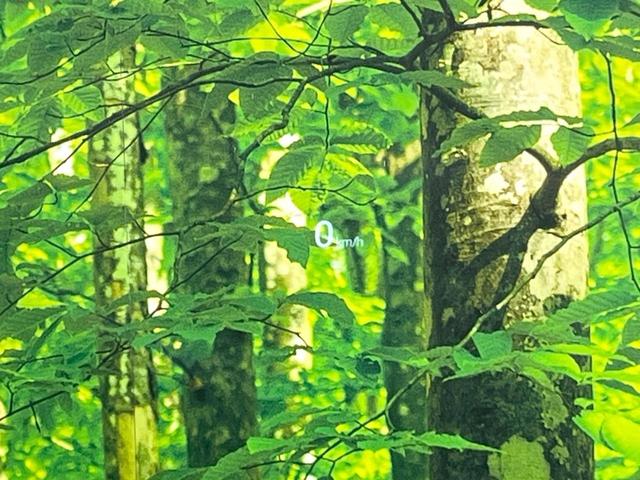 ＣＸ－５ ＸＤ　Ｌパッケージ　ディーゼル　純正ＳＤナビ　衝突被害軽減システム　レーダークルーズ　全周囲カメラ　電動リアゲート　レザーシート　コーナーセンサー　スマートキー　ＬＥＤヘッド　ビルトインＥＴＣ　純正１９インチアルミ（36枚目）