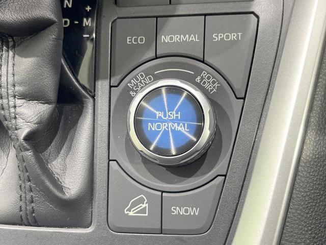 ＲＡＶ４ Ｇ　Ｚパッケージ　４ＷＤ　純正９型ナビ　バックカメラ　衝突被害軽減システム　レーダークルーズ　禁煙車　電動リアゲート　レザーシート　パワーシート　ドラレコ　コーナーセンサー　スマートキー　ＬＥＤヘッド　ビルトインＥＴＣ（43枚目）