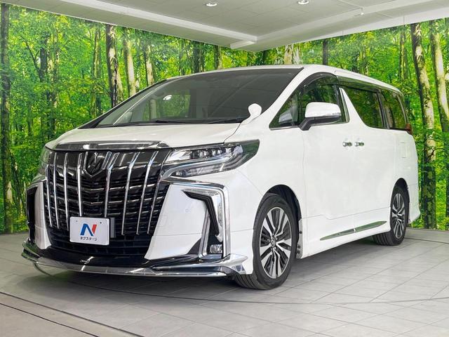 アルファード ２．５Ｓ　Ｃパッケージ　サンルーフ　モデリスタフルエアロ　ＢＩＧ－Ｘナビ　衝突被害軽減システム　両側電動ドア　後席モニター　バックカメラ　１００Ｖ電源　レーダークルーズ　電動リアゲート　レザーシート　全席シートヒーター（22枚目）