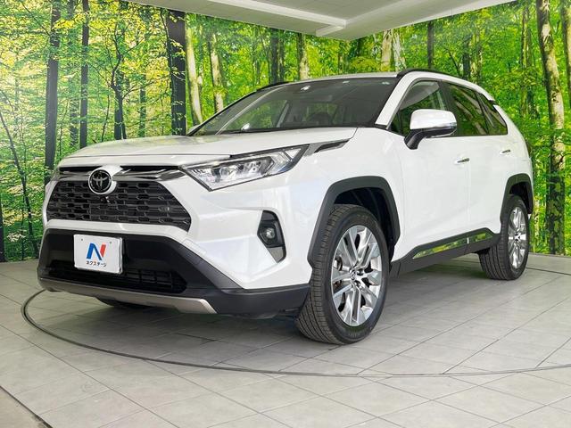 ＲＡＶ４ Ｇ　Ｚパッケージ　４ＷＤ　全周囲カメラ　衝突被害軽減システム　レーダークルーズ　禁煙車　電動リアゲート　ハーフレザーシート　パワーシート　ドラレコ　コーナーセンサー　スマートキー　ＬＥＤヘッド　ビルトインＥＴＣ（21枚目）