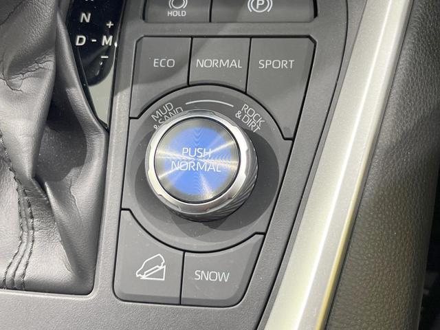 ＲＡＶ４ アドベンチャー　４ＷＤ　ＴＲＤ　純正ナビ機能付きＤＡ　衝突被害軽減システム　レーダークルーズ　バックカメラ　レザー調シート　パワーシート　コーナーセンサー　スマートキー　ＬＥＤヘッド　純正１９インチアルミ（42枚目）