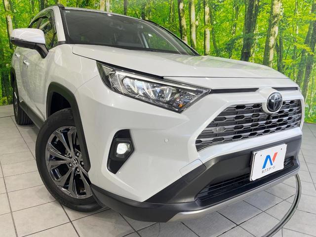 ＲＡＶ４ Ｇ　４ＷＤ　純正ナビ　衝突被害軽減システム　レーダークルーズ　全周囲カメラ　電動リアゲート　ハーフレザーシート　前席シートエアコン　パワーシート　ドラレコ　コーナーセンサー　スマートキー　ＬＥＤヘッド（12枚目）