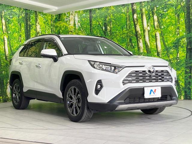 ＲＡＶ４ Ｇ　４ＷＤ　純正ナビ　衝突被害軽減システム　レーダークルーズ　全周囲カメラ　電動リアゲート　ハーフレザーシート　前席シートエアコン　パワーシート　ドラレコ　コーナーセンサー　スマートキー　ＬＥＤヘッド（16枚目）