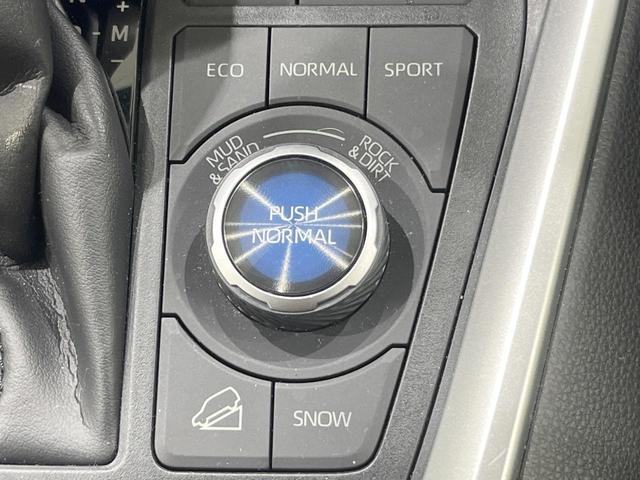 ＲＡＶ４ アドベンチャー　４ＷＤ　ＳＤナビ　バックカメラ　衝突被害軽減システム　禁煙車　パワーシート　コーナーセンサー　スマートキー　ＬＥＤヘッド　ビルトインＥＴＣ　クルコン　純正１９インチアルミ　オートライト（45枚目）