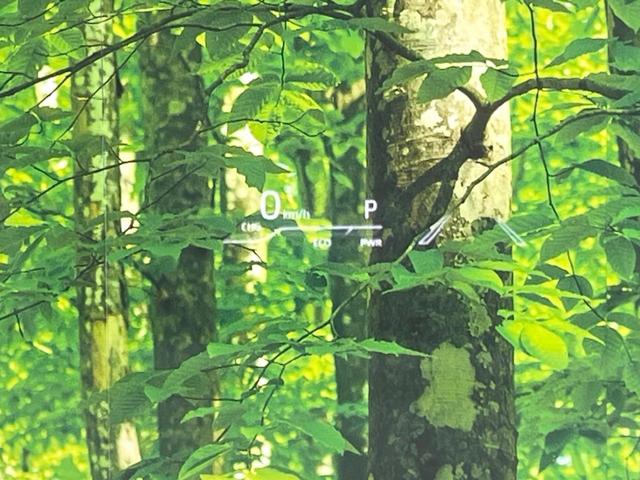 アクア Ｚ　モデリスタ　純正ディスプレイオーディオ　衝突被害軽減システム　レーダークルーズ　全周囲カメラ　ドラレコ　コーナーセンサー　スマートキー　ＬＥＤヘッド　純正１６インチアルミ　オートハイビーム（36枚目）