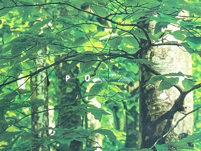 ヴェルファイアハイブリッド Z プレミア ガラスルーフ 純正ディスプレイオーディオ 衝突被害軽減システム レーダークルーズ 両側電動ドア 全周囲カメラ 電動リアゲート レザーシート 前席シートエアコン リアシートエアコン ドラレコ(37枚目)